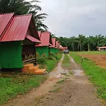 Khao Sok Evergreen House