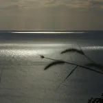 Para Resort