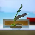 3 Bedroom Beach Front Villa - On Beautiful Bangrak Beach