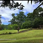 Phutarntree Resort