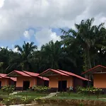 Khao Sok Evergreen House