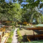 Coconut Garden