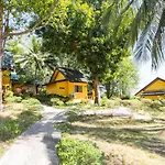 Coconut Garden