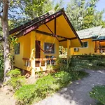 Coconut Garden
