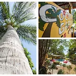 Coconut Garden