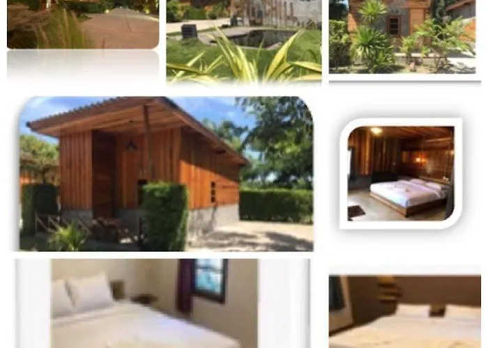 Chill Chill Resort