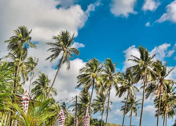 Shantaa Resort, Kohkood