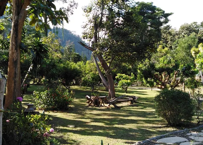 At Home Chiang Dao, Pooch Lovers