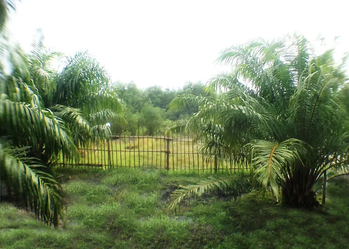 Yaoisland Resort And Farm