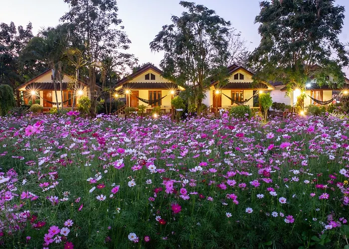 The Nest House