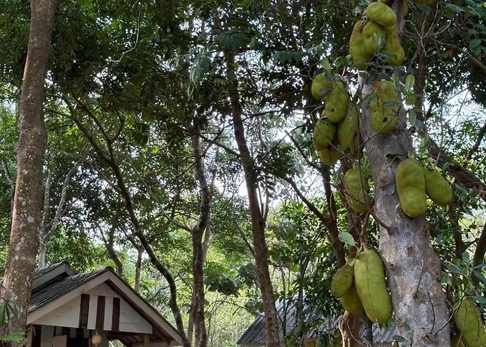 Eternal Forest Beach Bar&Bungalow