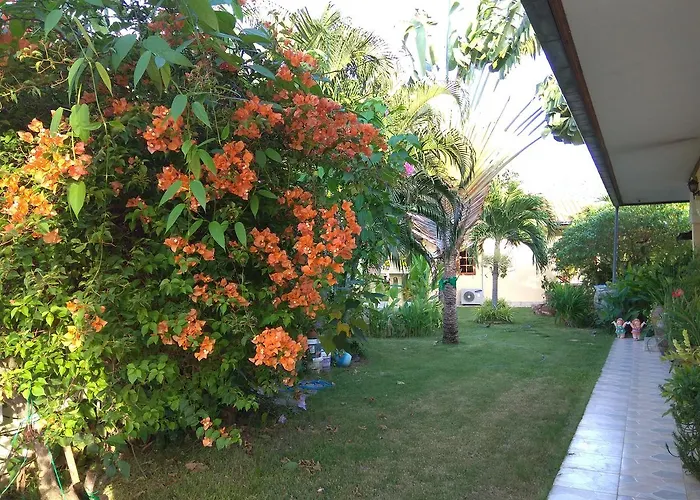 Stella Resort