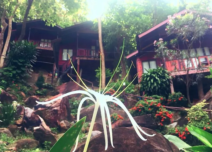 Phi Phi Green Hill Resort