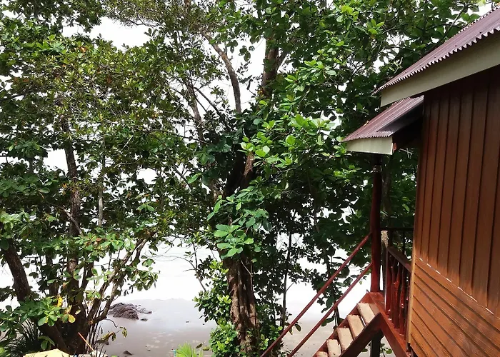 Jungle Hill Beach Bungalow
