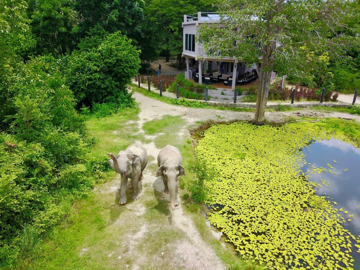 Resort I Phants Ban Huai Thawai