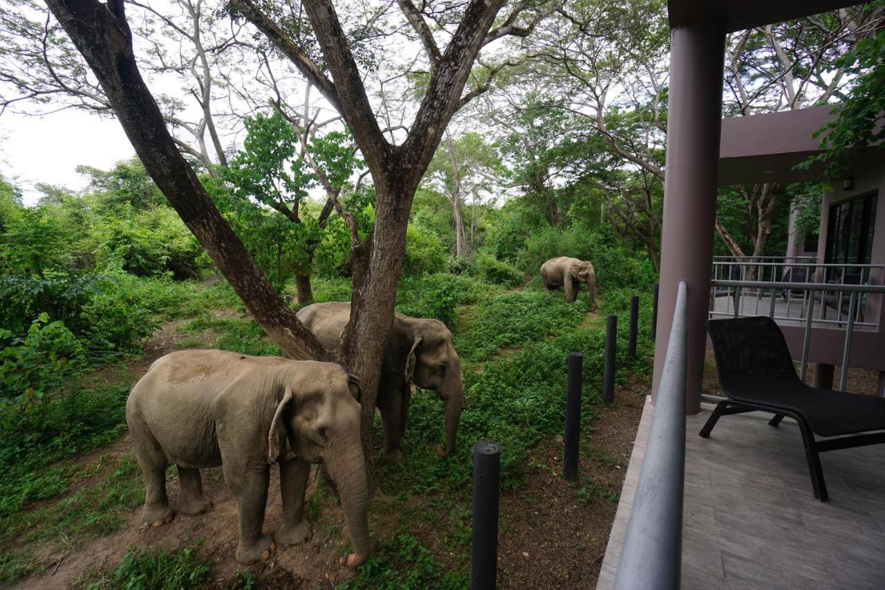 I Phants Ban Huai Thawai