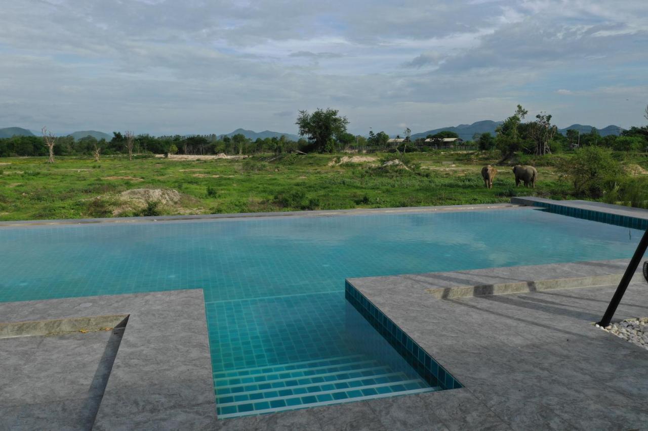 Resort I Phants