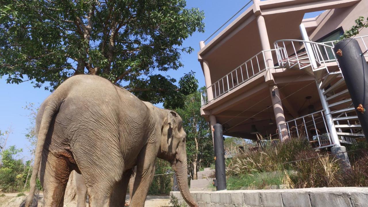I Phants 3* Ban Huai Thawai