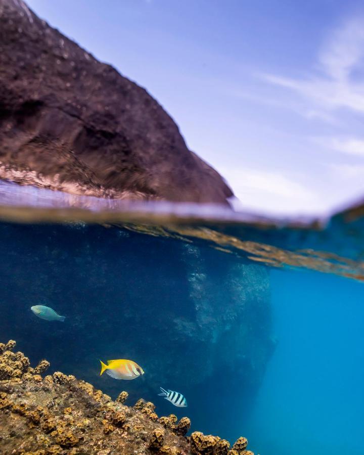 Resort New Heaven Dive School And Koh Tao