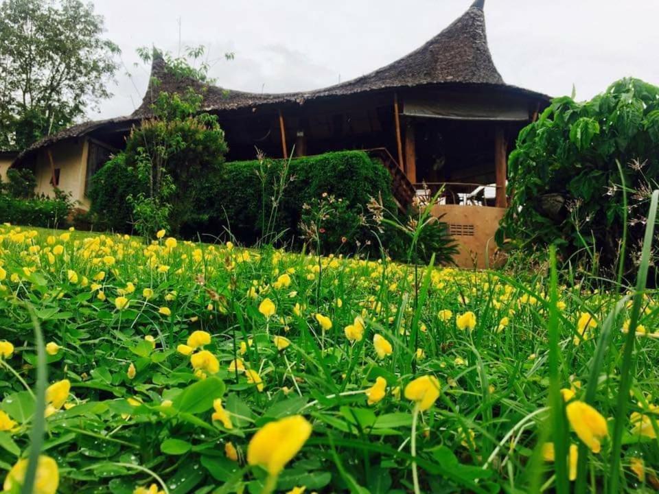 Mari Holiday park Pai