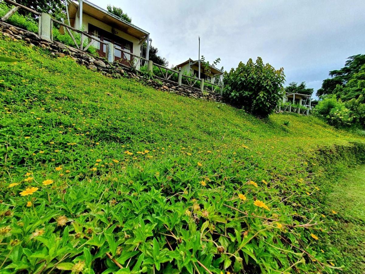 Holiday park Mari 3*