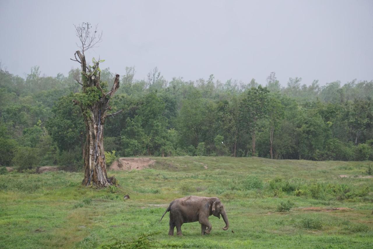 I Phants Resort Ban Huai Thawai