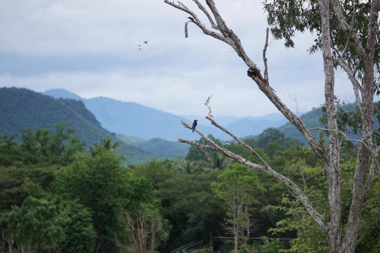 I Phants Resort Ban Huai Thawai