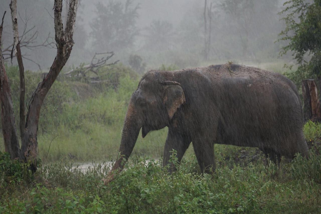 Resort I Phants Ban Huai Thawai