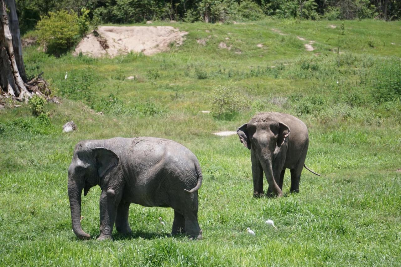 I Phants 3* Ban Huai Thawai