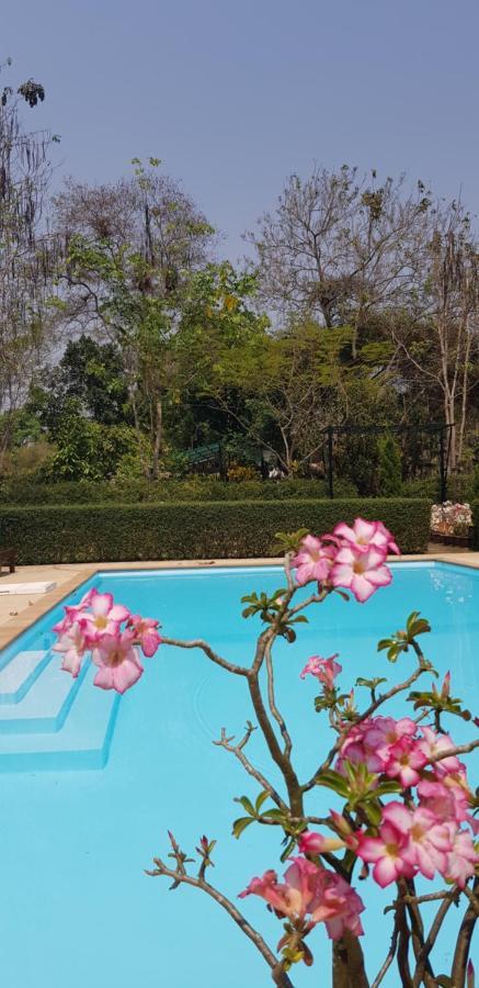 Noble House Garden 2*