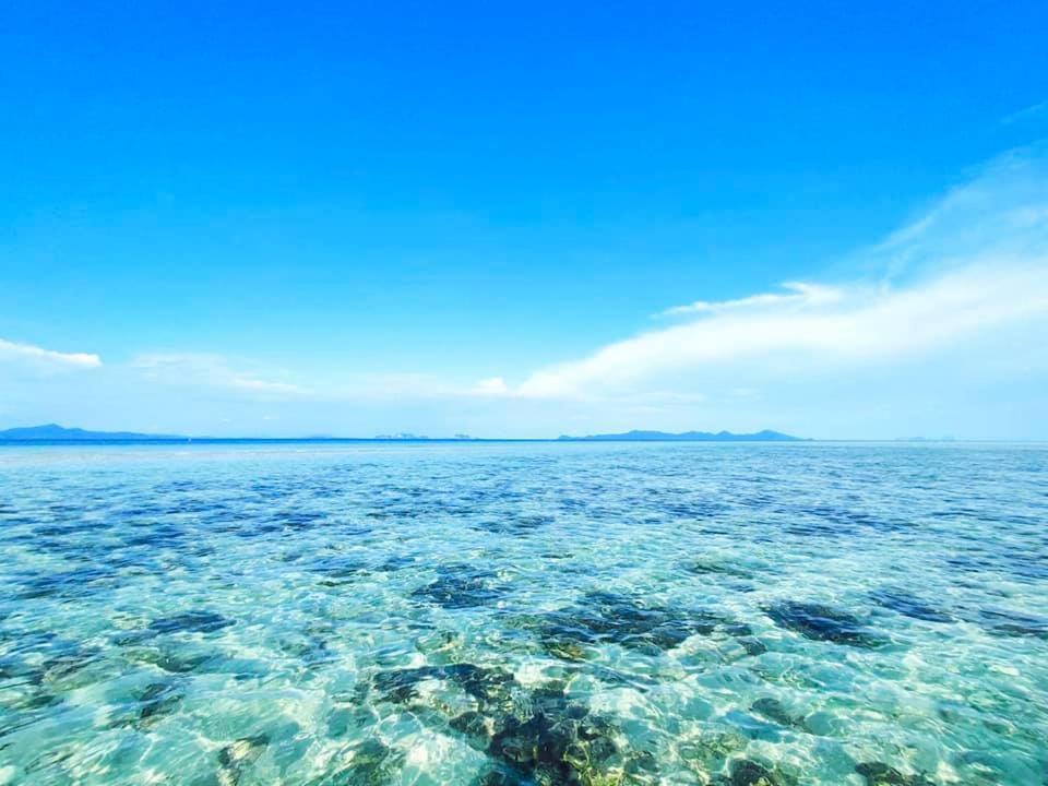 The Reef 3*