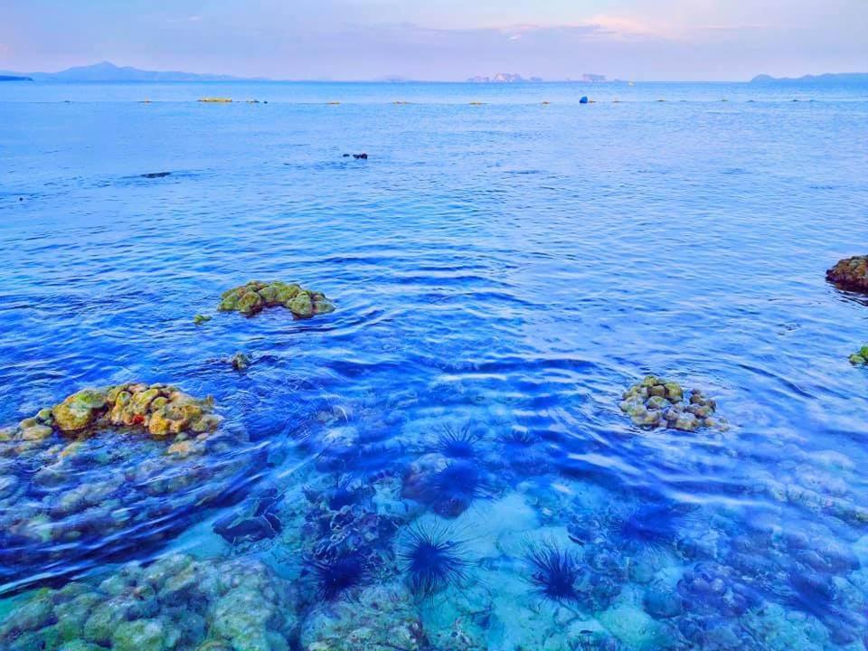 The Reef Resort 3*