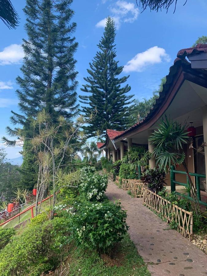 Maesalong Mae Salong
