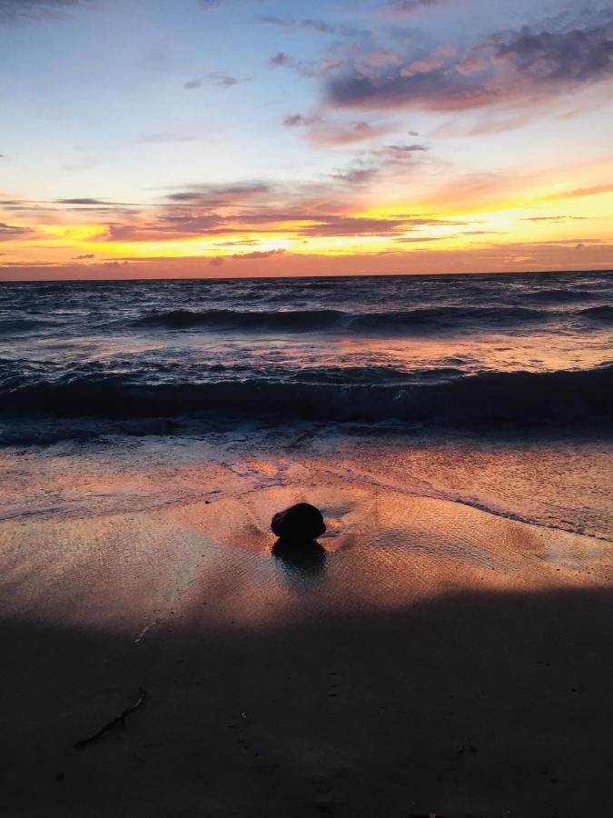 Seaesta