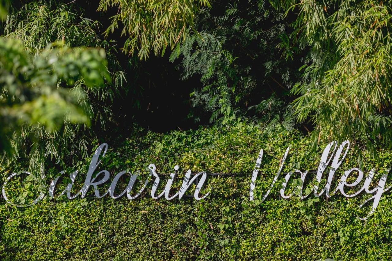 Sakarin Valley