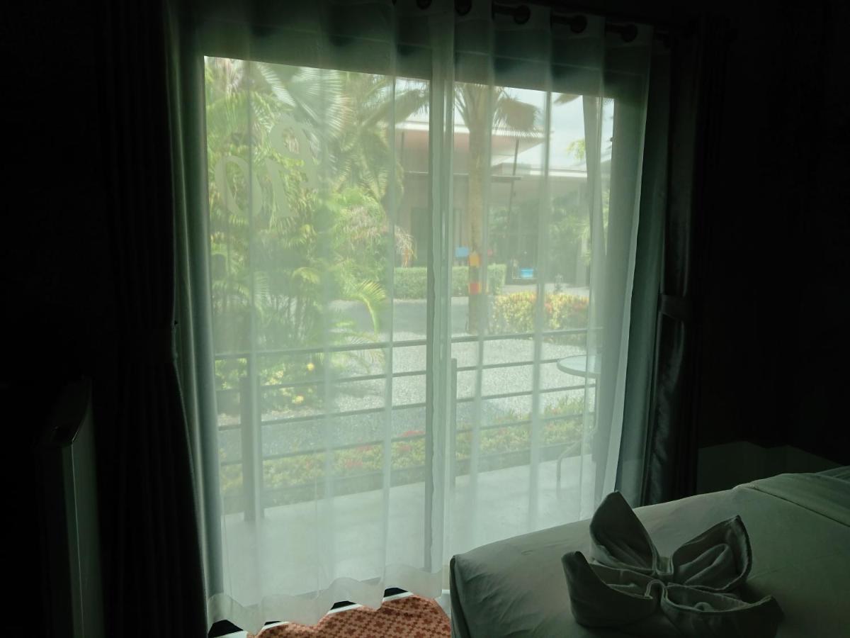 Resort Palm *