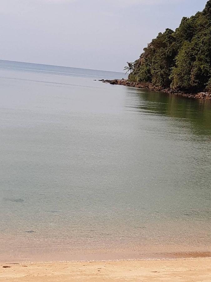 Jungle Bay