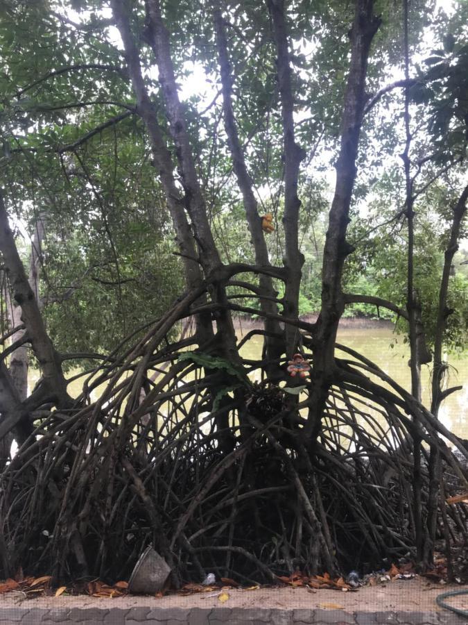 Baan Bon Bang Tabun Resort