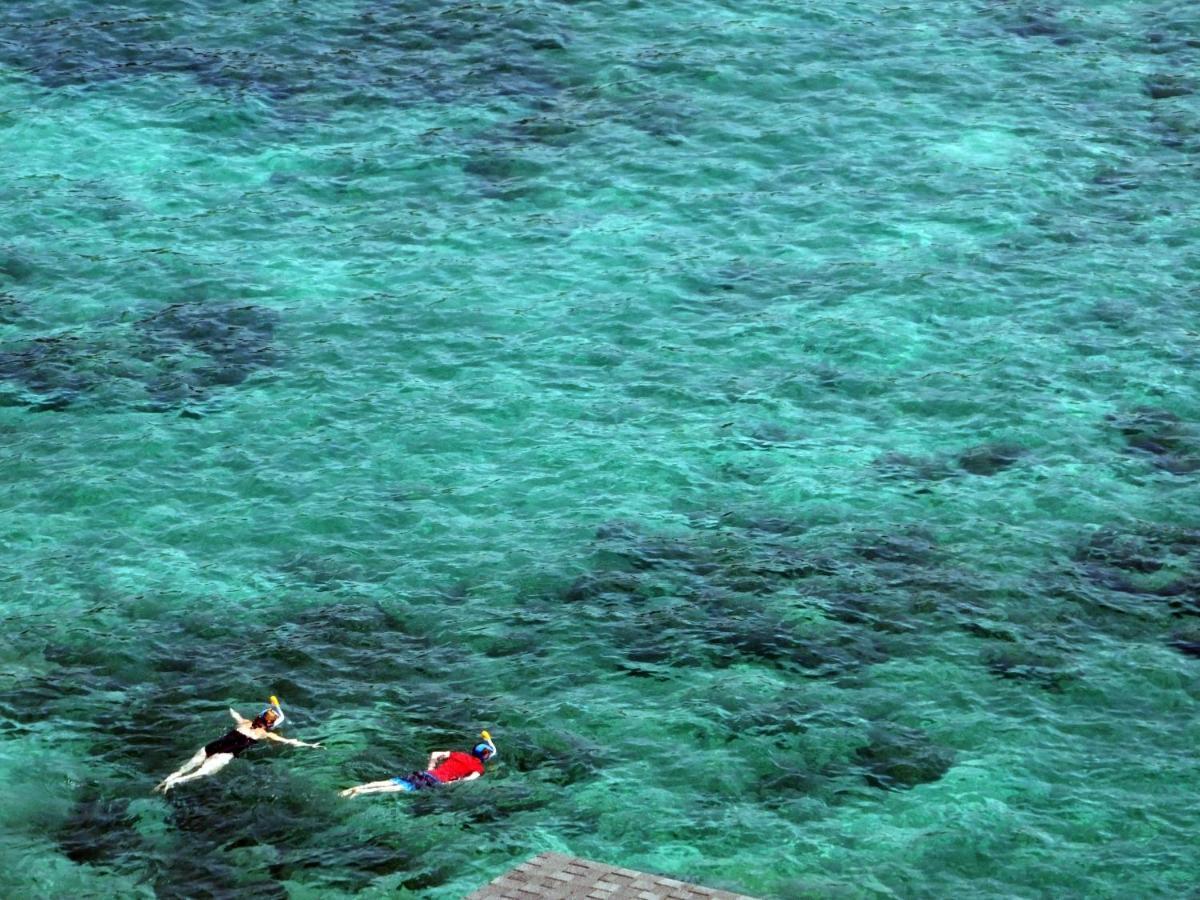 Planetz Ok Huts Sharkbay * Koh Tao