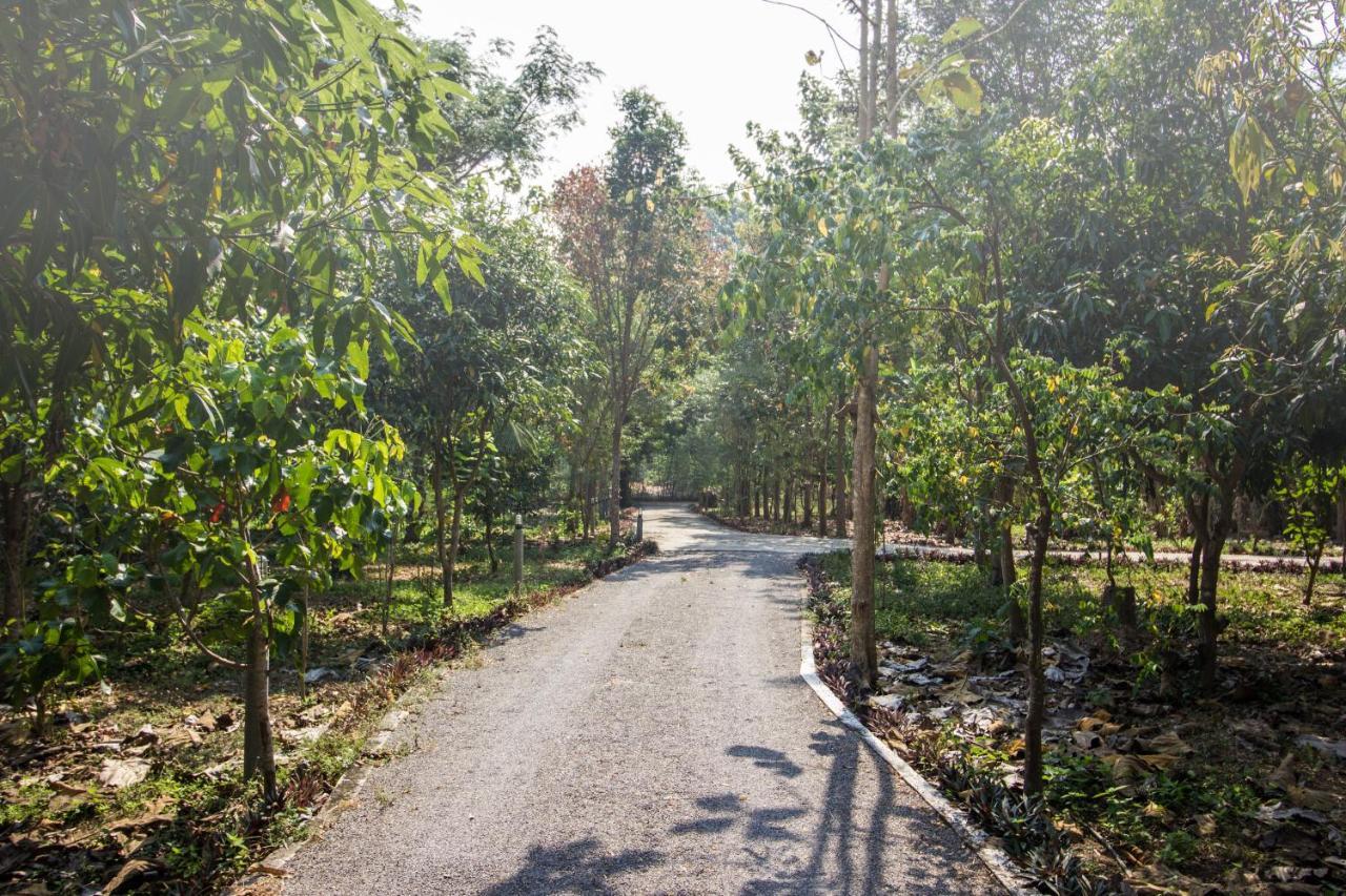 Bed & Breakfast Baan Naratawan Suan Phueng