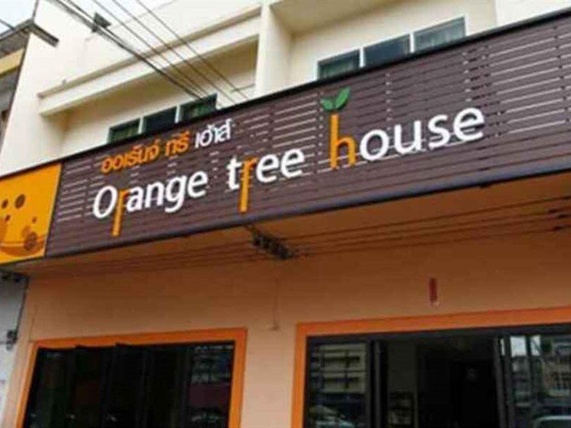 Orange Tree House