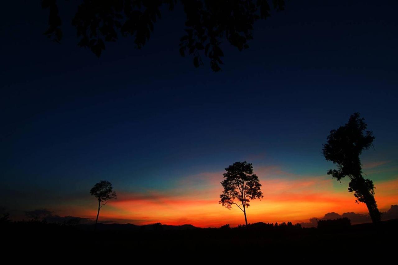View Dao Jantra *