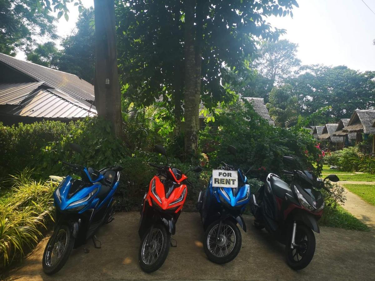 Guest house Jungle Garden 2*