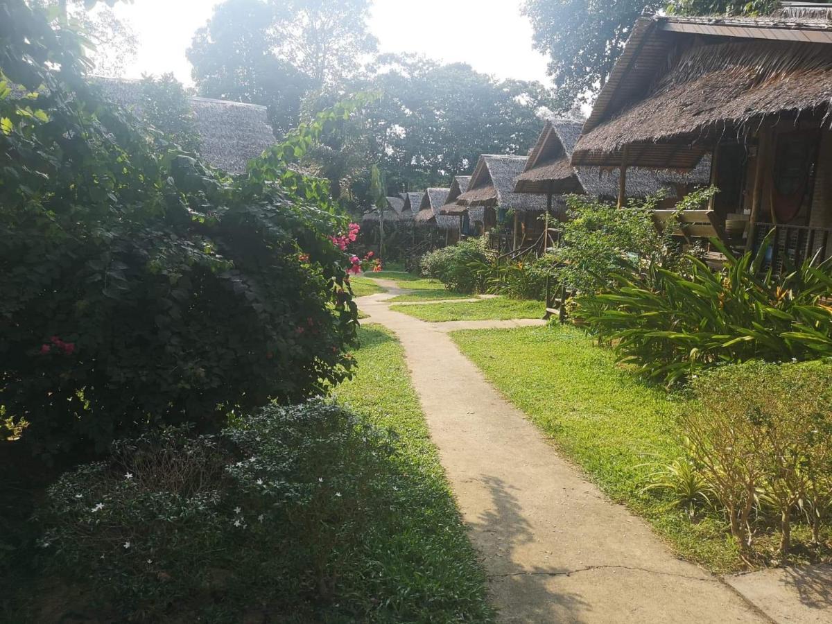 Jungle Garden 2*