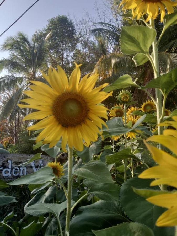 Phayam Garden View Resort