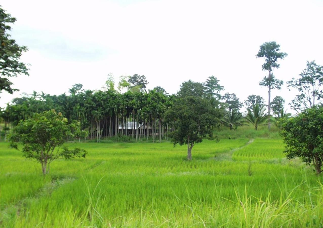 Phu View Hideaway Resort Ban Kham Proi
