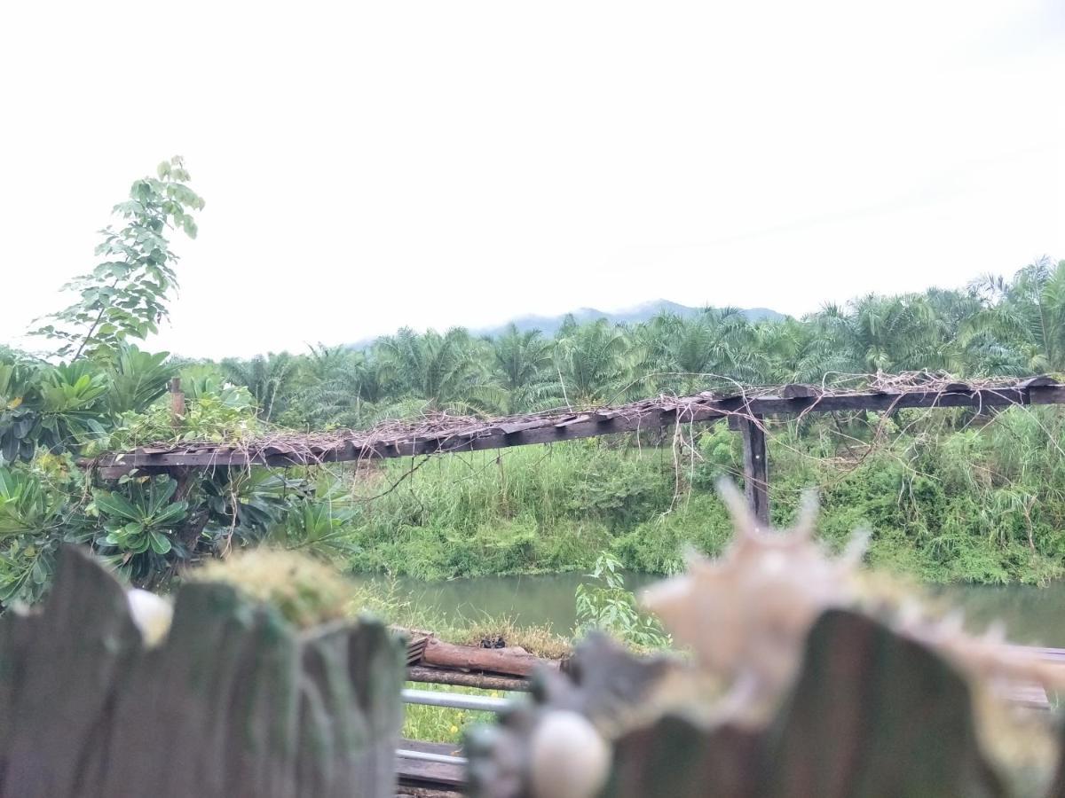 Teak * Thoeng
