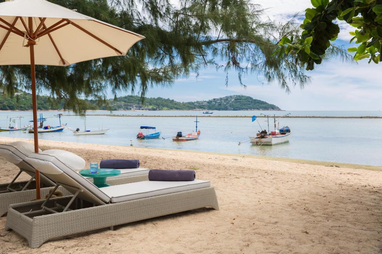 Villa Mia Palm, And Events *