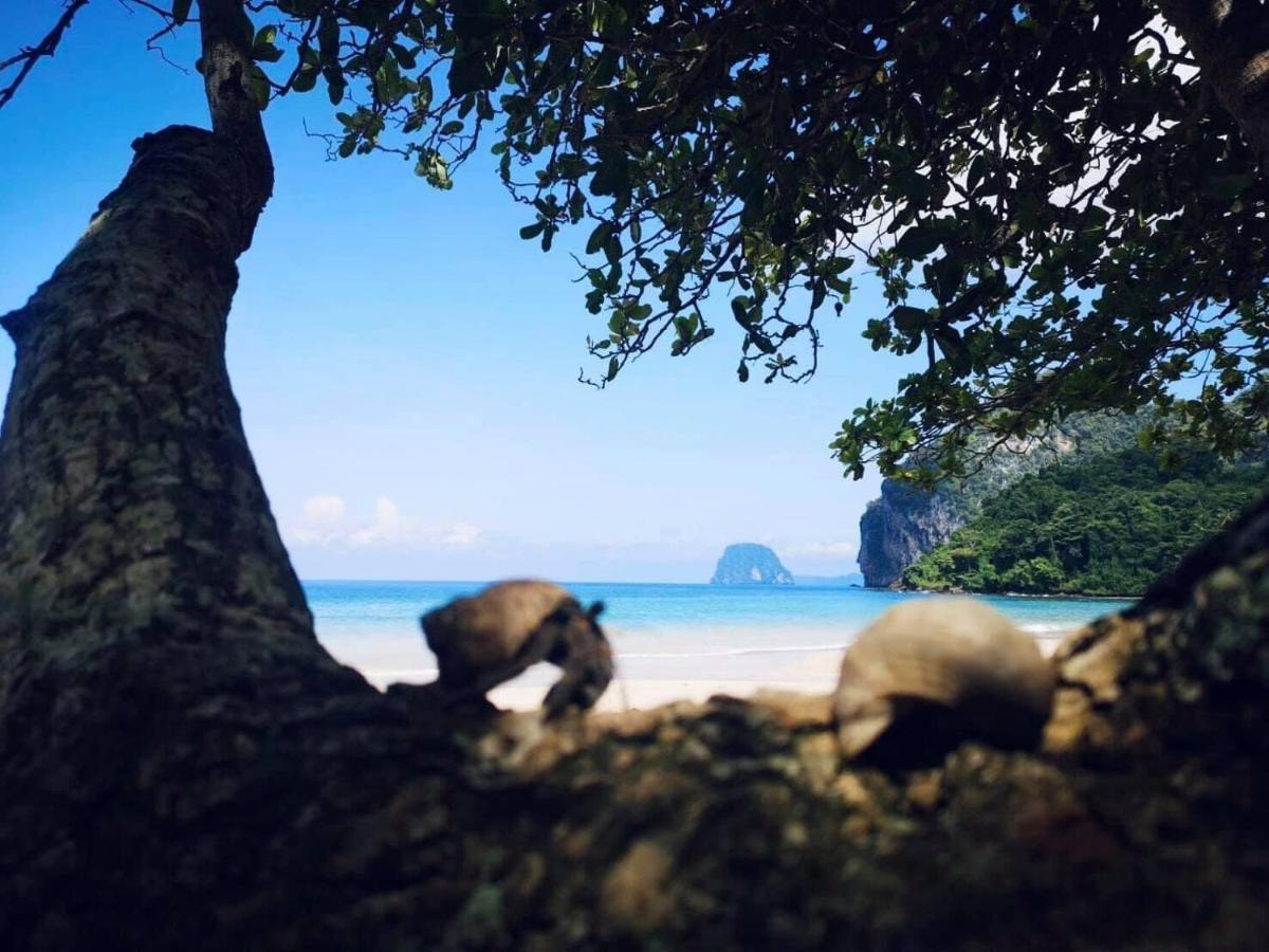 Sea View Guest house 2*