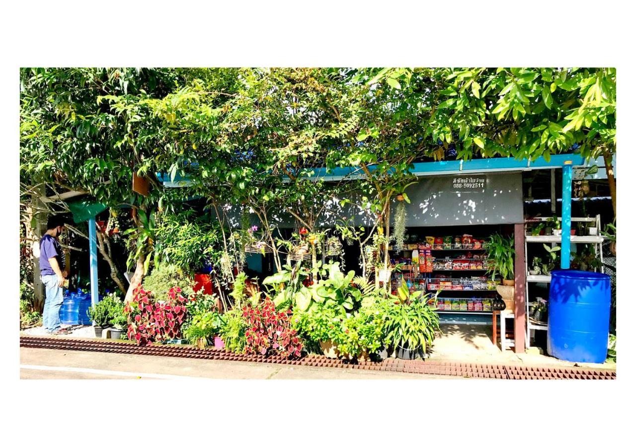 Guest house Scenns *